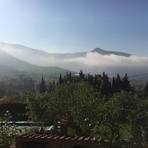 https://al-palazzaccio.it-tuscanyhotel.com